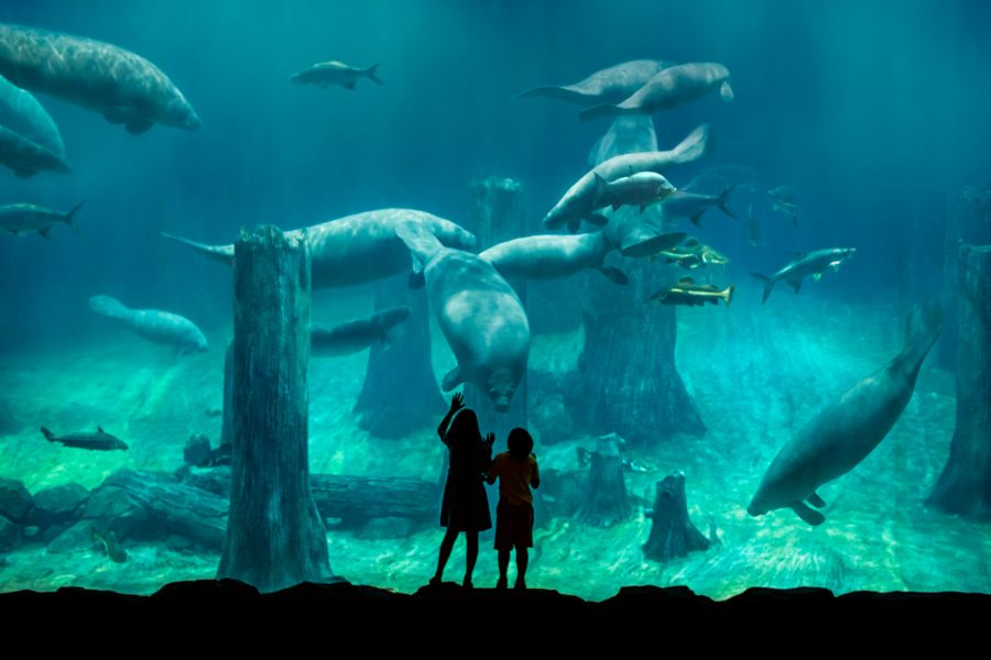 River Wonders Singapore