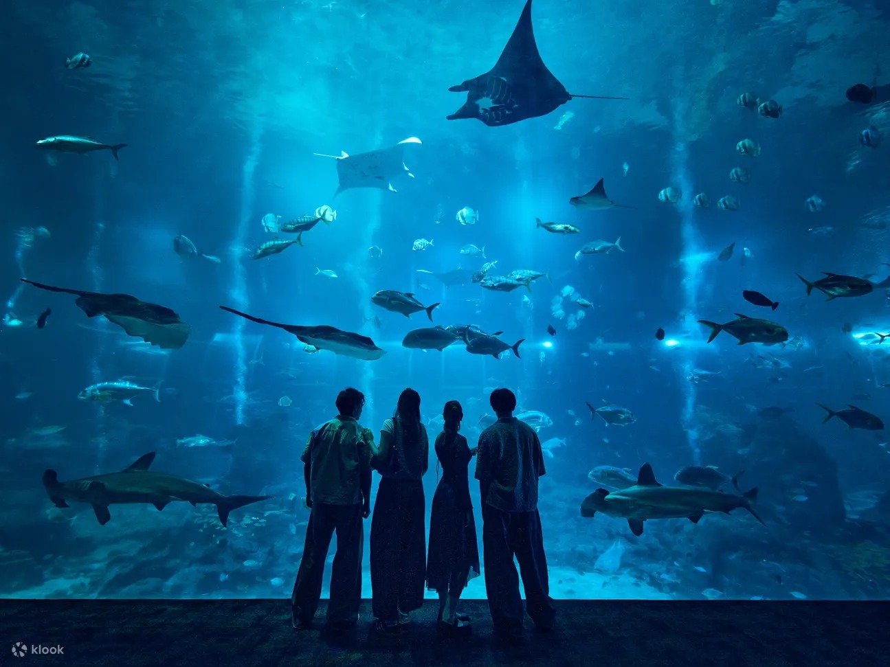 Singapore Oceanarium